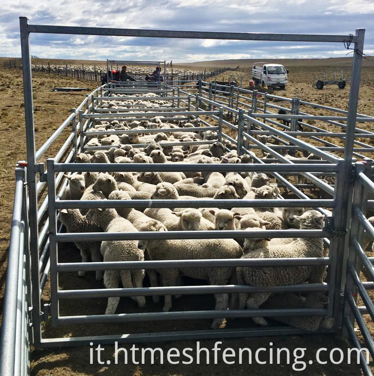 Attrezzatura agricola e ranch pannelli corti di bestiame pennello per cavalli da pioggia di grado architettonico